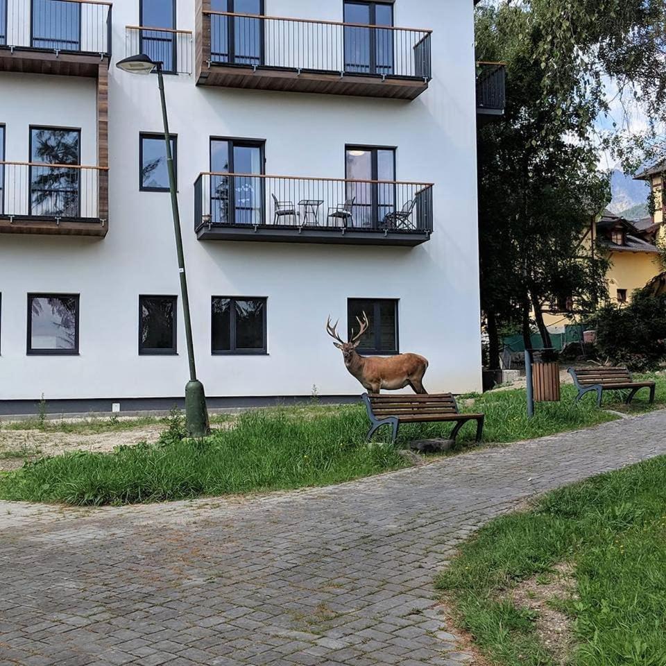 Apartman Hory - V Srdci Tatier Vysoke Tatry Ngoại thất bức ảnh